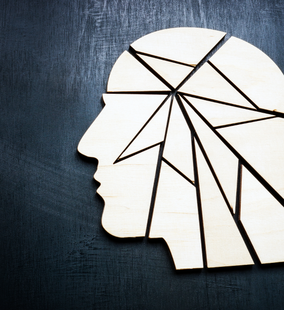 Puzzle of a face